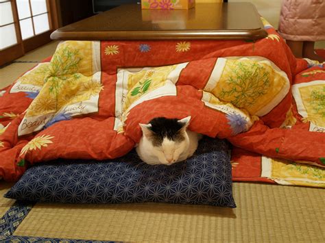 Maybe you would like to learn more about one of these? Never Leave Your Bed Again With This Awesome Japanese ...