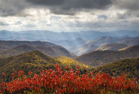 Beautiful Wildflowers In The Smoky Mountains Blue Ridge Parkway Fall