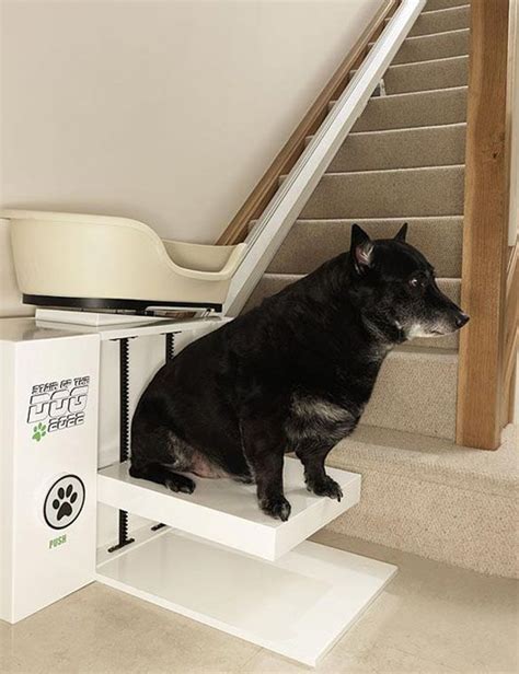 Behold The Birth Of The Worlds First Dog Stair Lift Dog Stairs