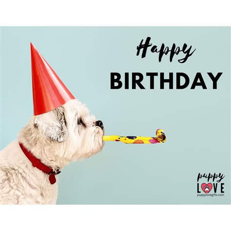 Dog Birthday Card Puppy Love Ts Shop