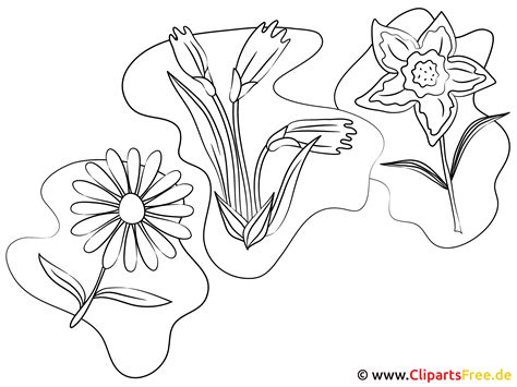 Blumen kostenlos ausmalbilder und malvorlagen zum drucken. Blumen zum Ausmalen und Ausdrucken