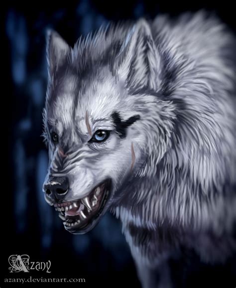Cool Wolf Drawings Canine Art Werewolf Art