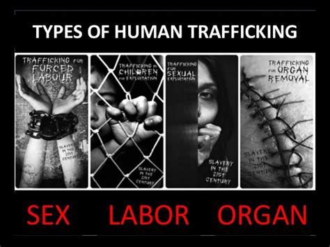 Human Trafficking By Lizette Gallegos