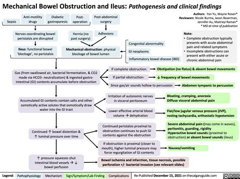 Mechanical Bowel Obstruction And Ileus Pathogenesis And Clinical