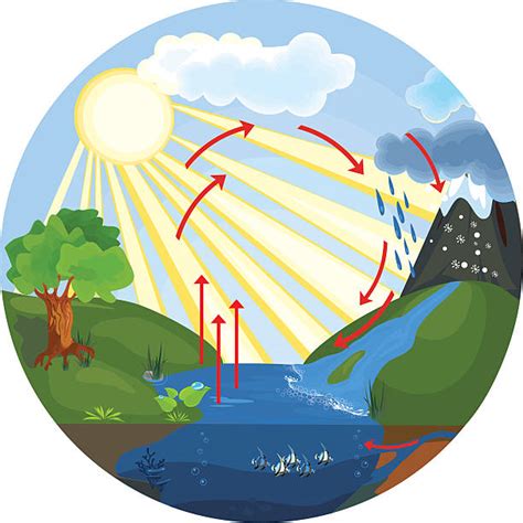 13 Water Cycle Size Water Cycle Clip Art Clipartlook Images And