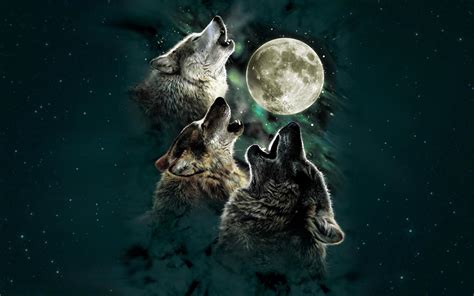 Wolf Live Wallpaper Apk For Android Download