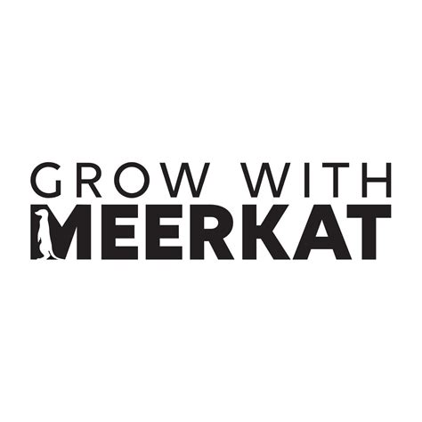 Grow With Meerkat – Medium