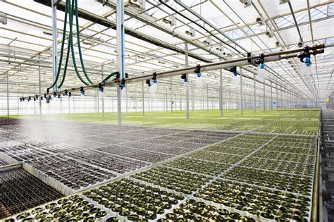 Greenhouse Irrigation And Fertigation Offer Boosts To Efficiency And Profitability Growspan