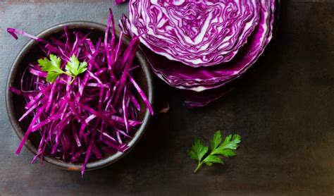 Rotkohl In Der Schwangerschaft Foodwissen De