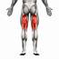 Common Muscle Strains Of The Hip Joint