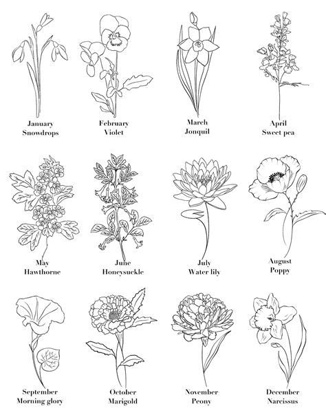 Personalised Birth Flower Print Botanical Printable Drawing Etsy