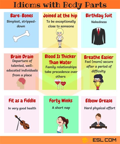 Body Idioms Useful Body Parts Idioms In English