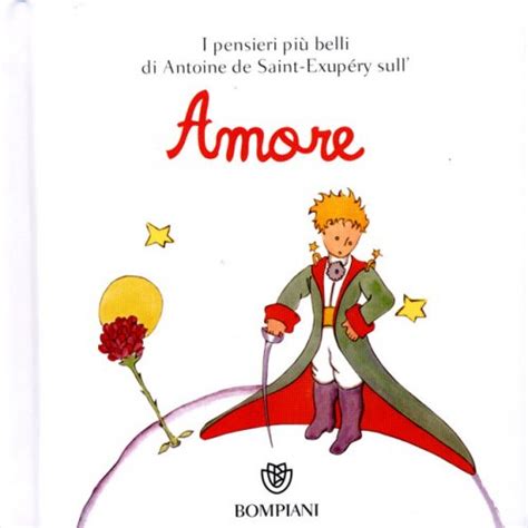 Programar para principiantes, orientado a objetos, java, python, javascript, marketing, seguridad. Il Piccolo Principe - Amore - Libro di Antoine De Saint ...