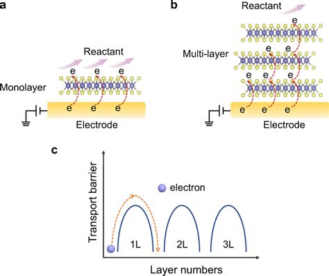 Layer Dependent Electron Transfer Mechanism Of Mos2 A B Schematic