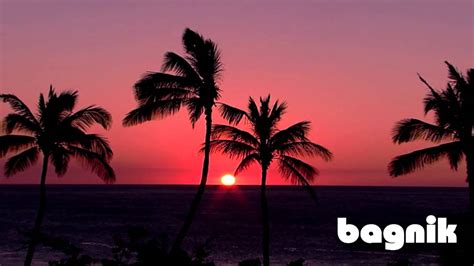 Sunset In Hawaiirelaxation Youtube