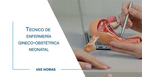 Técnico de enfermería gineco obstétrica neonatal ESHE Argentina