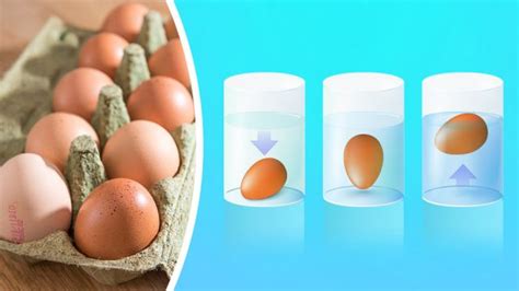 How To Tell If An Egg Is Bad Some Badly Rotten Eggs Can Even Weep