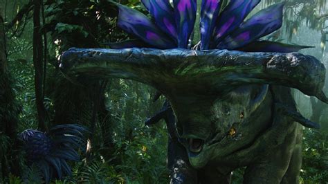 Ubisofts Open World Avatar Game Is Still In Development Xbox One