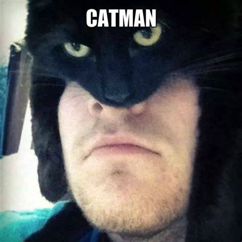 Catman By Weirdstashgangstacat On Deviantart Funny Animal Jokes