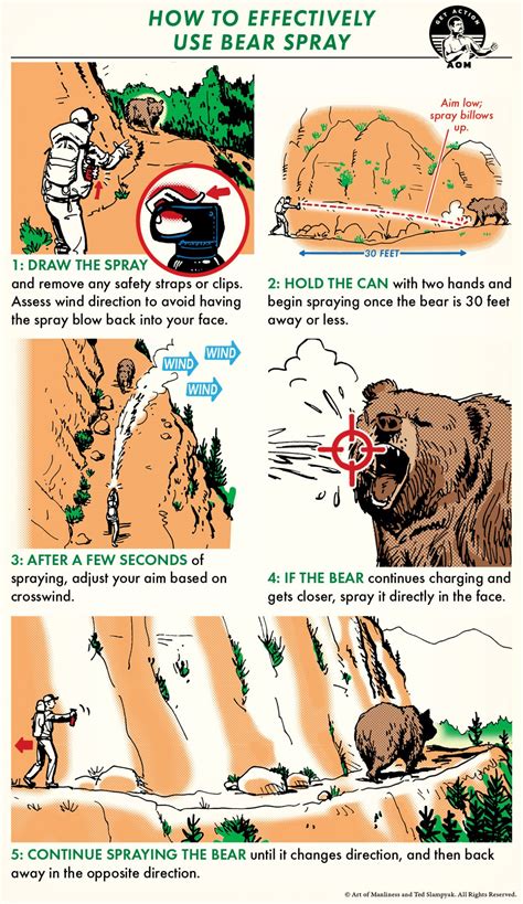 How To Survive A Bear Attack The Complete Guide Art Of Manliness