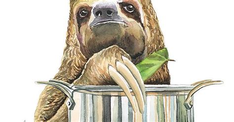 Slow Cooking Sloth Album On Imgur