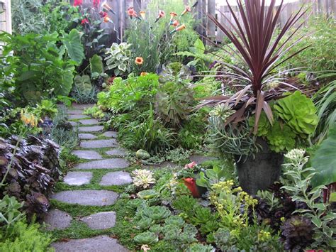 How To Create An Eco Friendly Home Garden Tom Corson Knowles