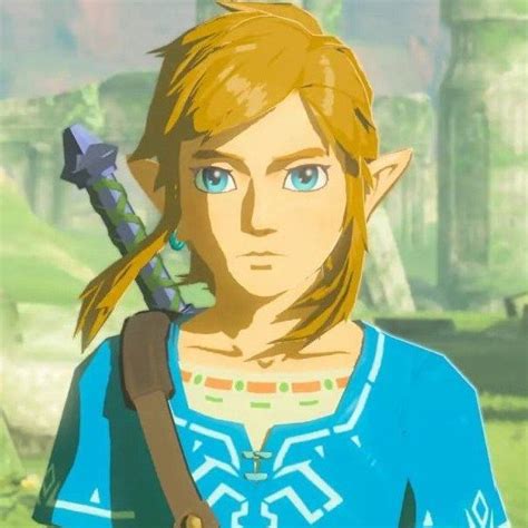 The Legend Of Zelda Legend Of Zelda Breath Link Zelda Breath Of The