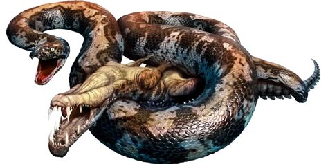 Titanoboa The Largest Snake In The World