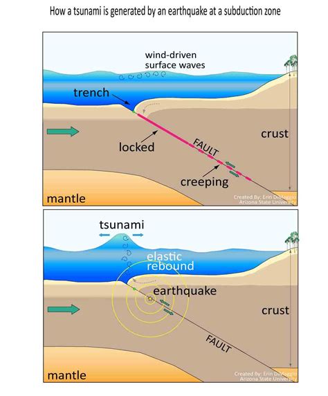 Jump to navigation jump to search. 4 Major Reasons for Formation of Tsunami - Explained!