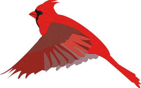Cardinal Flying Clipart