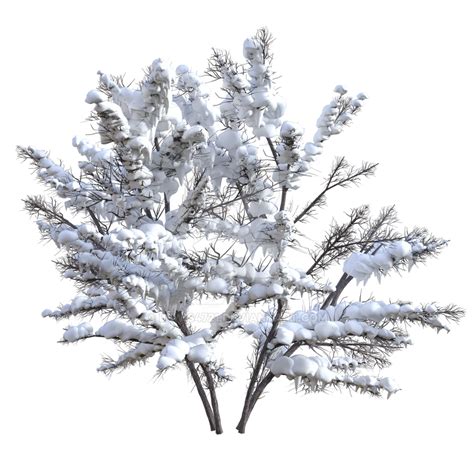 Winter Bush 1 Png Overlay By Lewis4721 On Deviantart