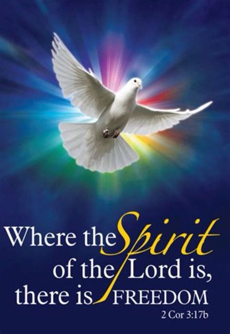 90 Best Images About Dove The Holy Spirit On Pinterest Flies