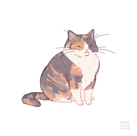 Calico Cat Tumblr