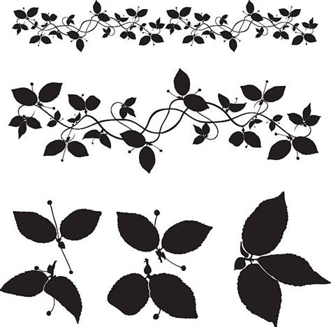 Vine Leaf Clip Art Vector Images And Illustrations Istock