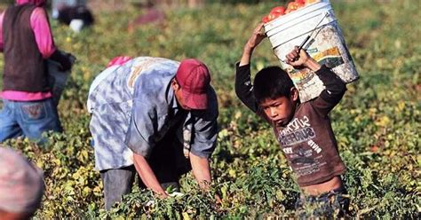 Millones de trabajos gratis y cerca de ti. Unicef advierte exclusión de niños campesinos e indígenas ...