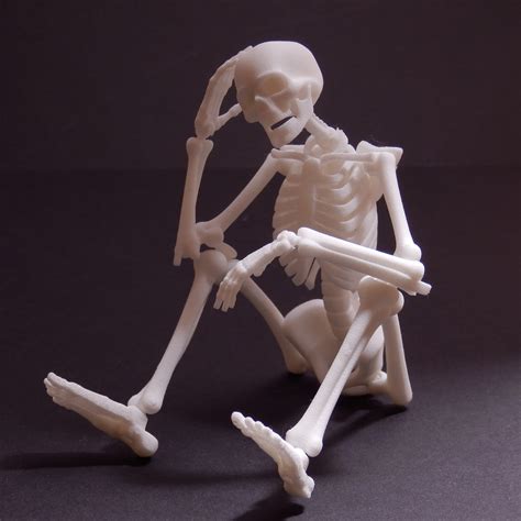 Mattbag3d 3d Printed Articulated Skeleton