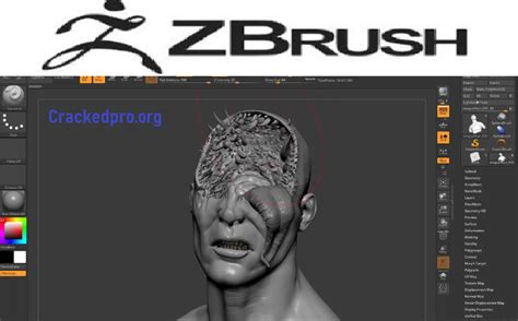 Pixologic Zbrush 2022.0.1 Crack With License Keygen Full Version