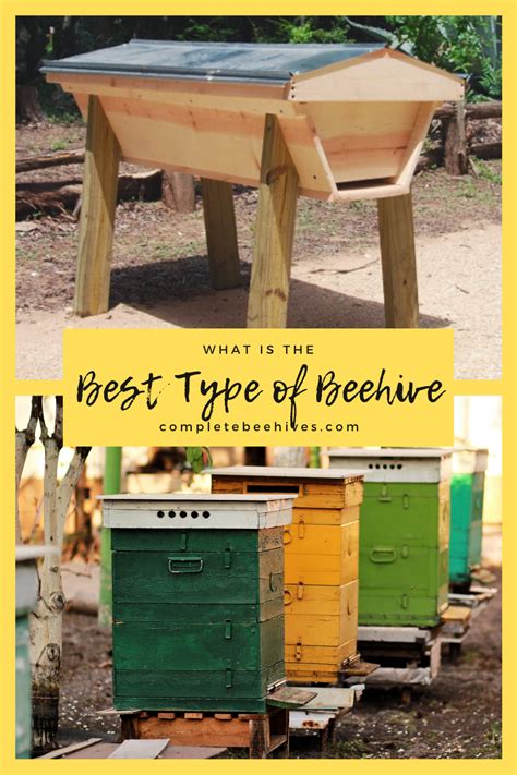 What Is The Best Type Of Beehive Bee Hive Bee Keeping Hives