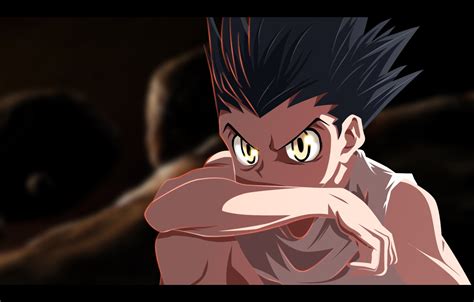 Gon Transformation Wallpaper 665 Best Images About Hunter X Hunter On