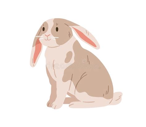 White Rabbit Floppy Ears Stock Illustrations 70 White Rabbit Floppy