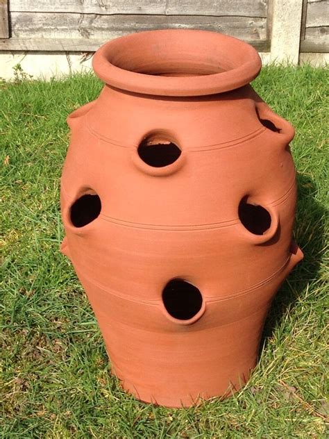 Large Terracotta Strawberry Planter For Sale In Woking Surrey Gumtree