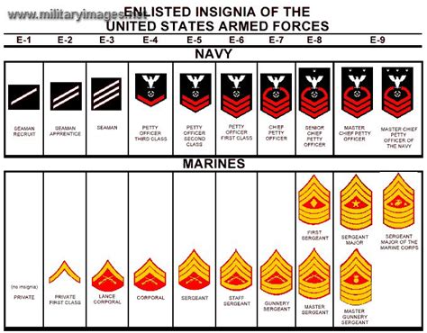 Us Navy Us Marine Corps Ranks Military Pinterest Study Armed