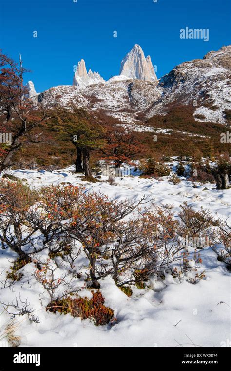 Autumn Scene With Snow With Mount Fitz Roy And Cerro Torre El Chalten