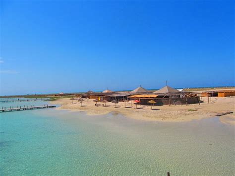 Ballade En Mer Djerba Island All You Need To Know Before You Go