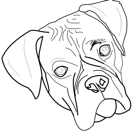 Boxer Dog Line Drawing Draw Hio