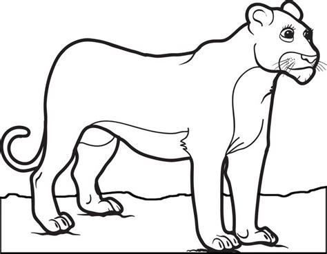 Lioness Coloring Download Lioness Coloring For Free 2019