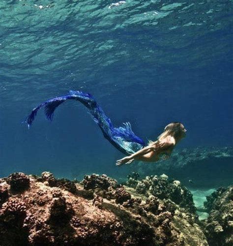 Mermaids Are Real Mermaid Photography Underwater Photography