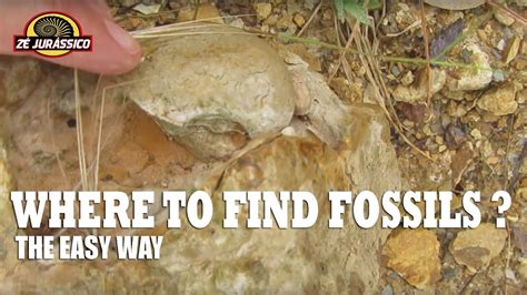 Where To Find Fossils The Easy Way Youtube
