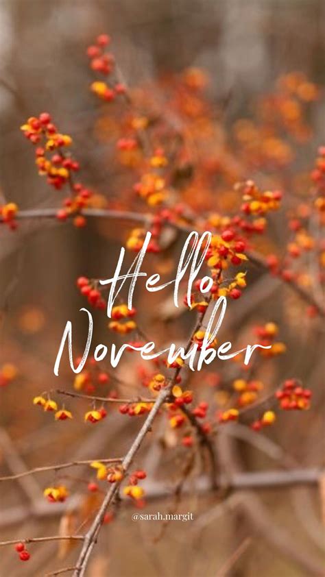 The Words Hello November Are Written In White Ink On A Branch With Red