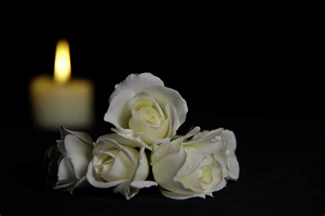 Beautiful White Roses With A Burning Candle On The Dark Background